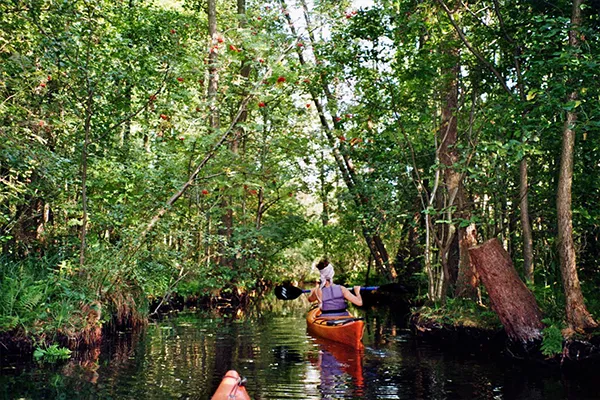 Kanufahren im Waldgebiet – Naturerfahrung im Natur Retreat